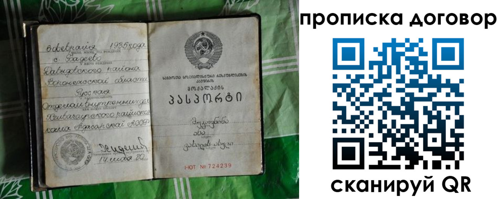 прописка в Краснознаменске
